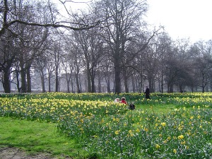 Green_Park,_London,_England